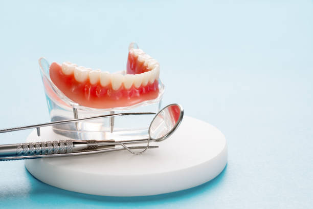 Olive Branch, MS Holistic Dental Care Services Company